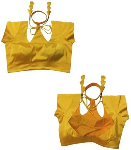 BlouseDesign_StylishBlouse_FashionUpdate_TrendyLook_BMfashionhouse_BlouseCollection