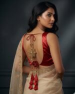 BlouseDesign_StylishBlouse_FashionUpdate_TrendyLook_BMfashionhouse_BlouseCollection