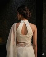 BlouseDesign_StylishBlouse_FashionUpdate_TrendyLook_BMfashionhouse_BlouseCollection