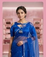 BlouseDesign_StylishBlouse_FashionUpdate_TrendyLook_BMfashionhouse_BlouseCollection